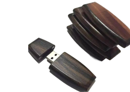 Creative Oval Wooden USB Flash Drive