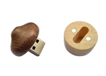Wooden Hazelnut Flash Drive