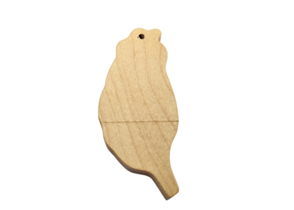 Wooden Map USB Flash