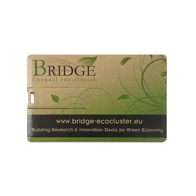 orange biodegradable usb flash disk