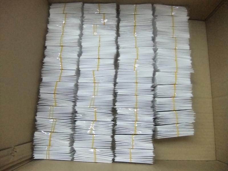 Bulk Blank Packaging Paper Cards Inside Carton