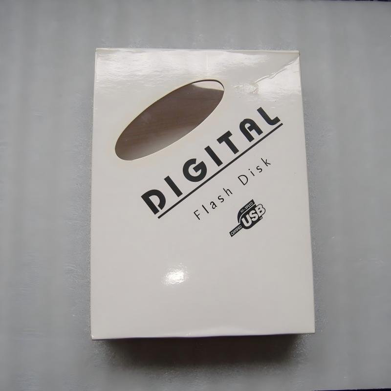 DIGITAL Flash Disk Window Paper Box