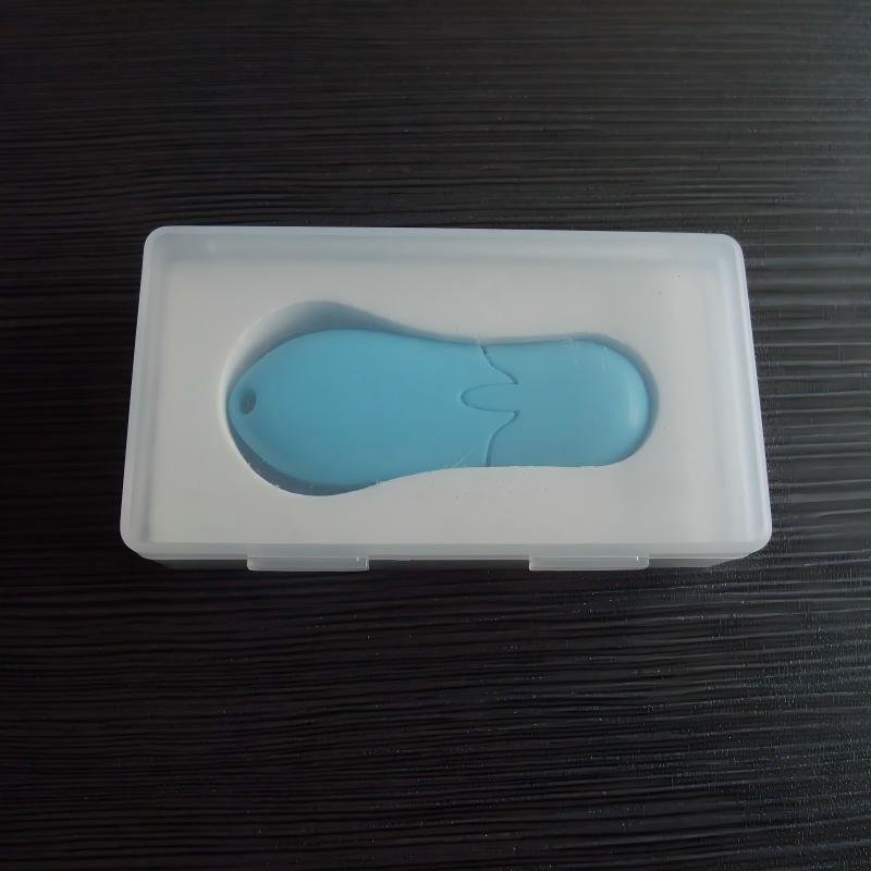 Frosted Plastic Box with Custom EVA Foam Insert for USB Drive